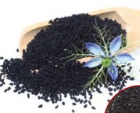 Sortkommen, Nigella sativa