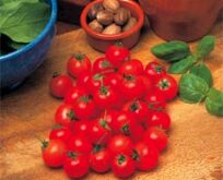 Tomat Cherry Garden Pearl