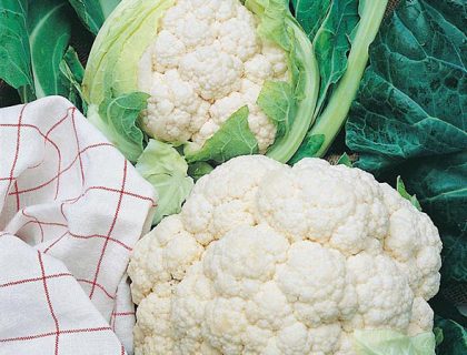 Kål Blomkål. All the year round.
