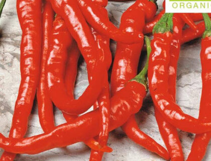 Chili, Cayenne Økologisk