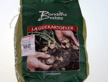 Læggekartoffel Ballerina Økologisk 1,5kg. Middeltidlig. Bagning, kogning, salat