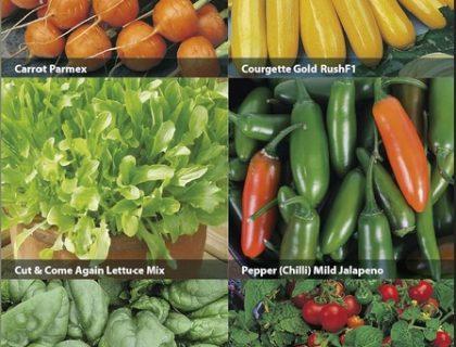 Grøntsager i potter, 6 slags