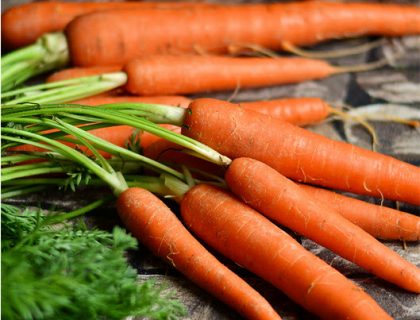 Gulerod Vinter – storpotion til fx. vildtpleje 100g.