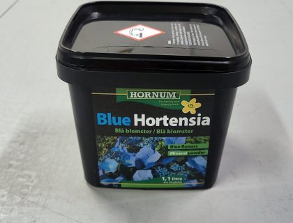 Hortensia Gødning – Få smukke, blå hortensiaer