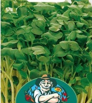 Hvid sennepsfrø pose – Mikrogrønt