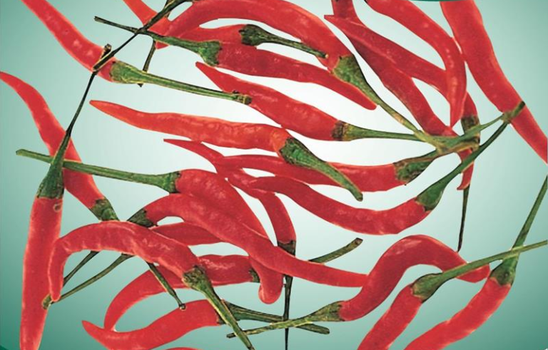 Peber Chili, Cayenne Long Slim, stærk