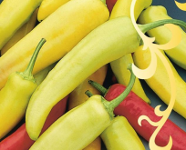 Peber chili Hungarian Hot Wax