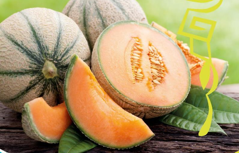 Melon Charentais
