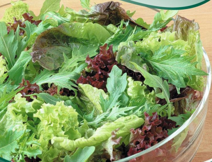Salat Baby Leaf, Blanding af flere salatsorter
