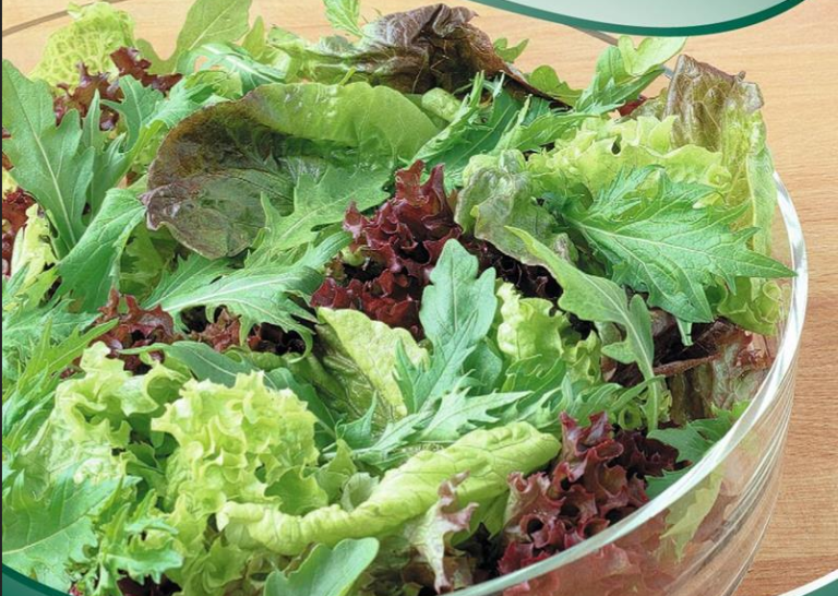 Salat Baby Leaf, Blanding af flere salatsorter