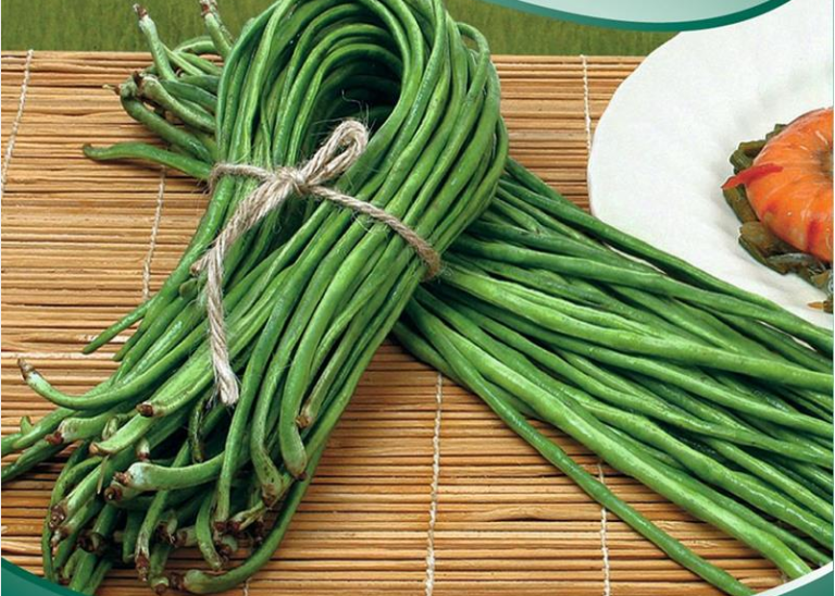 Bønne stangbønne Spagetti, aspargesbønne