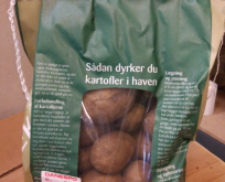 Læggekartoffel Sava Økologisk 1,5kg, middeltidlig, pillet