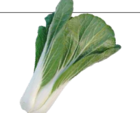 Pak choi, Salat, bopak F1