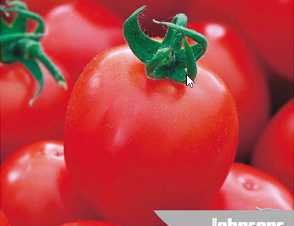 Tomat, Principe Borghese, til soltørret tomat