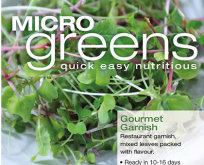 Mikrogrønt, krydderurt mix. Gourmet Garnish