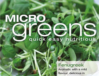 Bukkehorn frø til microgrønt