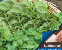 Almindelig vinterkarse og vinterportulak såpapir