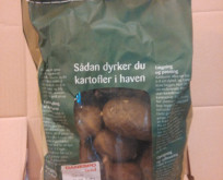 Læggekartoffel Sava 1,5kg, middeltidlig, pillet