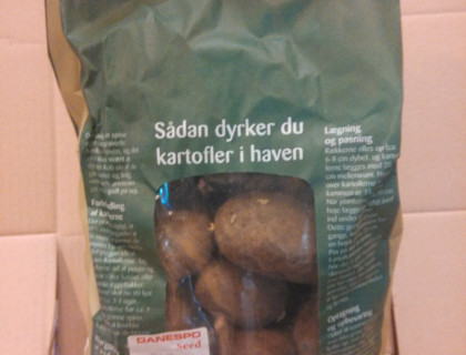 Læggekartoffel Sava 1,5kg, middeltidlig, pillet