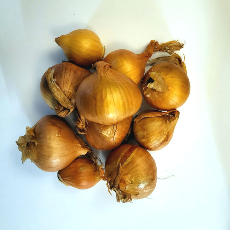 Skalotte løg Golden Gourmet