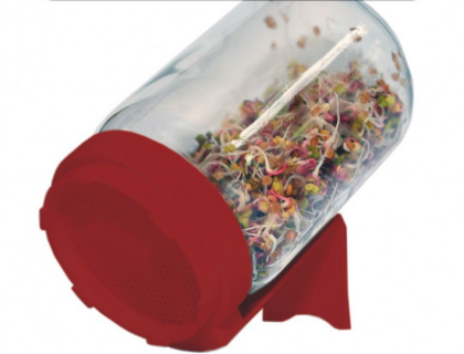 Spireglas – spirekrukke. Dyrk friske spirer året rundt