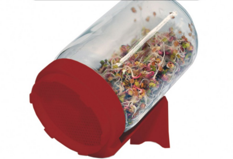 Spireglas – spirekrukke. Dyrk friske spirer året rundt