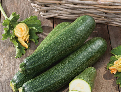 Squash blackstar F1