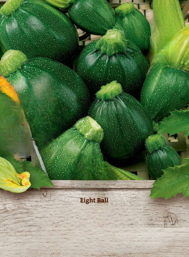 Squash Eight Ball F1 – Runde, saftige og smagfulde frugter
