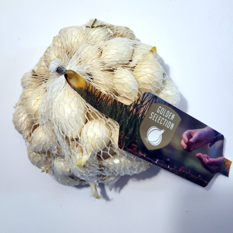 Salatløg Snowball