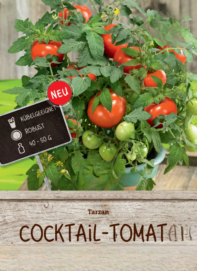 Tomat Cocktail Tarzan F1