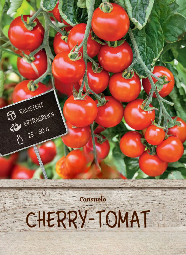 Tomat cherry Consuelo F1