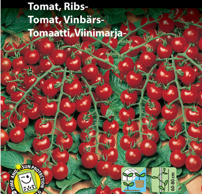 Tomat, ribs. Busk. Vild Tomat. Rød.